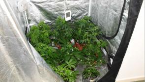 Three men arrested in connection with drug seizure in Tipperary 