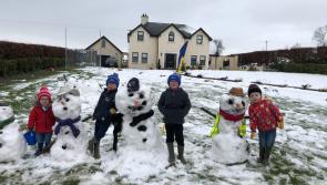 Picture Gallery: Snow day in Tipperary