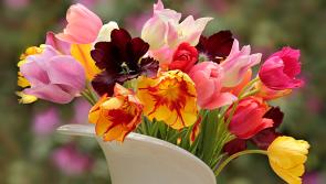 Gardening with James Vaughan: Spring is just around the corner