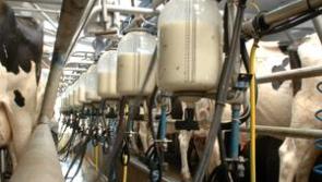 Tirlán's November milk price is 35.08 cent per litre for its Tipperary milk suppliers
