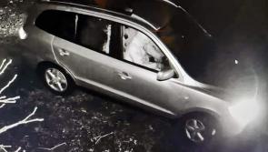 Gardaí investigate attempted break in at dog rescue on Tipperary/Kilkenny border