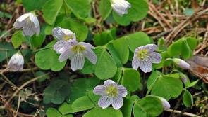 Albert Nolan: Learn to appreciate the great outdoors