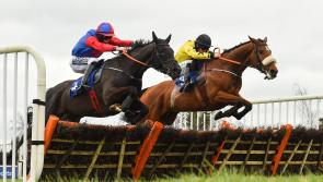 Picture Parade: See all the action from Thurles Racecourse last weekend