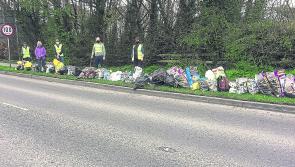 Roscrea Tidy Towns collect a ton of disposed refuse 