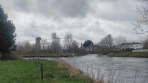 Albert Nolan column: Exploring the River Suir heritage walk 
