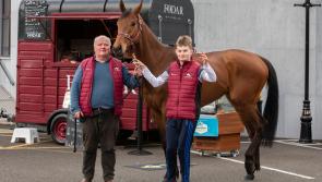 'Fairytale stuff' for viral video celebrity Clonmel    hotelier John Nallen