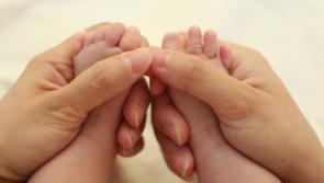 New arrivals - Two new bouncing baby boys for Burncourt