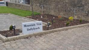 Carrick-on-Suir residents group thank local firm for name stone donation