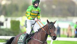 Class act Rachael Blackmore adds to her legion of fans