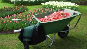 Gardening with James Vaughan: Sort out garden essentials