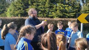 Albert Nolan: Habitat survey with Ballinahinch NS