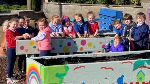 One Tipperary national school is bringing its garden to life 