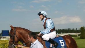 All hurdle card announced for Tipperary races later this month