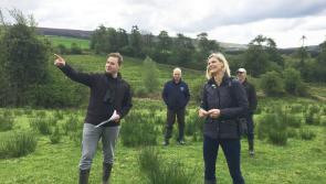 Minister Hackett announces over 50,000 tonnes of organic feed needed next winter