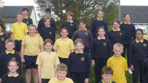 Tipperary students taking part in the BT Young Scientist and Technology Exhibition primary science fair 