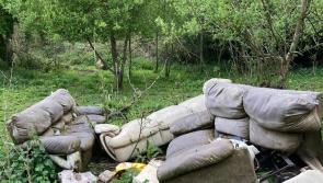 Rubbish will be cleared from grounds of Knocklofty House, says council spokesperson