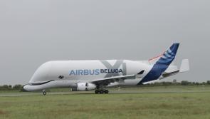 It's a bird, it's a plane, no, it's a 'whale' plane in Shannon