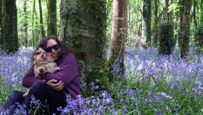 Glowing tributes in Tipperary to departing Community Development Co-ordinator