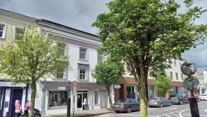 Suircan calls on public to help save Clonmel town centre trees