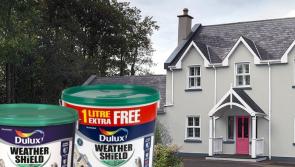Two for Today: Our branches stock all the leading and recognised brands in paint 