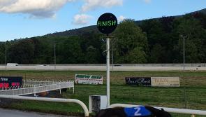 Countdown continues to National Produce Stakes final in Clonmel