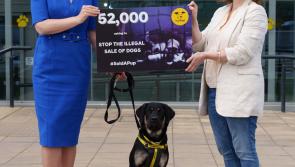 Dogs Trust hands in petition to Oireachtas members calling for the illegal sale of dogs to stop