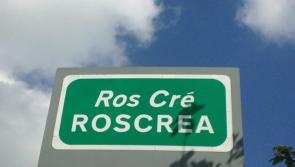 Roscrea housing development gets green light amid concerns