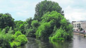 Plans for development of Suir Island in Tipperary will be on the table soon