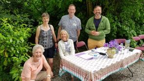 What some place to go on Saturday? - how about Moyaliffe House  walled garden and estate in Ballycahill