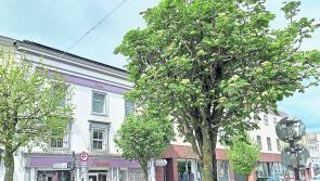 New trees will be planted in Clonmel's town centre