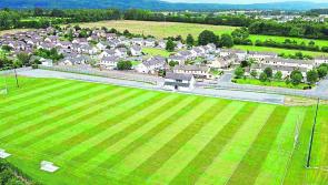 Great win for Carrick Swans' junior B camogie team in  county Tipperary league