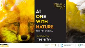 Tipperary open air art exhibition to put you at one with nature in Birdhill