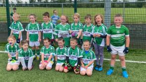 Ryan wants to be a Tipperary hurler and a farmer when he's older