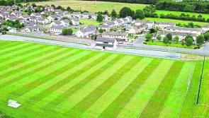 Carrick Swan drawn against Mullinahone in south Tipperary senior hurling championship