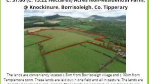 Non-residential farm in Knockinure, Borrisoleigh, is to go on sale by online auction
