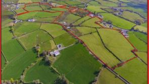 C61.5 acre farm at Roskeen, Drombane, Thurles - for public auction at Cashel Mart