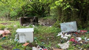 Drones have been used to detect dumping in Tipperary 