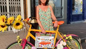 Check out the Clancy Brothers Festival Arts Trail's exhibitions 