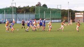 Sarsfields and Loughmore Castleiney both out of mid senior hurling championship