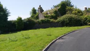 Tipperary County Council urged to tackle overhanging trees at Nenagh's military barracks