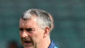 Liam Sheedy in line to take over Offaly senior hurlers
