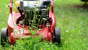 How are you fixed? Tipperary Tidy Towns group could do with a little help!