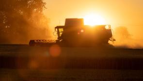 It's 'Pure Tipperary' - Threshing and Auction event  on Sunday week for South Tipperary Hospice