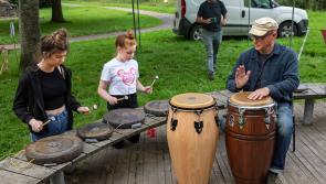 Tackling bugs, crafts and a mural on Clonmel heritage and biodiversity day