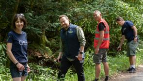 Leave No Trace programme will restore Glengarra Wood in Tipperary in European first