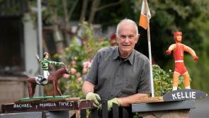 Craftsman John honours our sporting heroes in his Clonmel garden overlooking Blueway