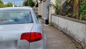 Survey shows that no fines were issued for dog fouling in Tipperary last year