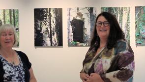 Tipperary artist's exhibition reconnects community to its history, culture and heritage