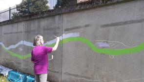 Clonmel puts its best forward for national Tidy Towns competition