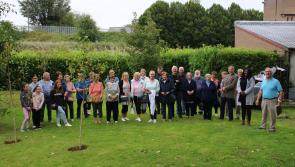 Roscrea Tidy Towns Memorial Planting on Saturday, September 4, at 11am in the Library Field